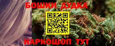 a pvp Славгород