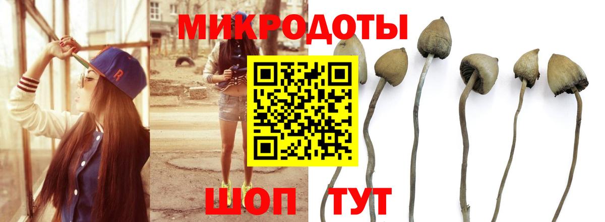 Новочебоксарск  Псилоцибиновые грибы Magic Shrooms  Вход с VPN 